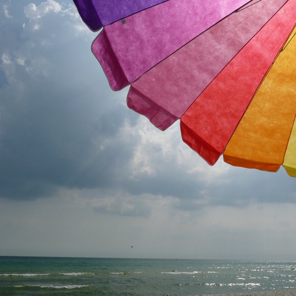 Meet your Posher, Darcy